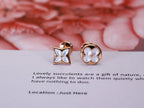 [Plus&Max]STAR AND SUN PINK GOLD MOP STUD EARRINGS